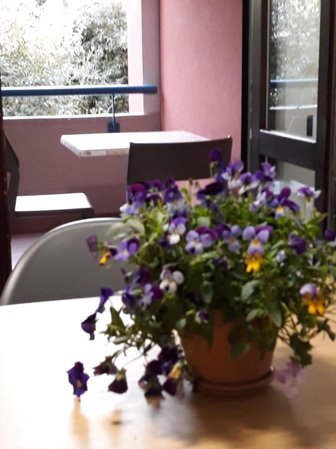 Il Ciclamino Apartment Монополи Екстериор снимка